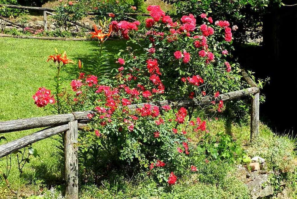B&B Il Casale Delle Pianacce Castiglione di Garfagnana Kültér fotó