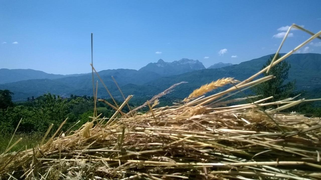 B&B Il Casale Delle Pianacce Castiglione di Garfagnana Kültér fotó
